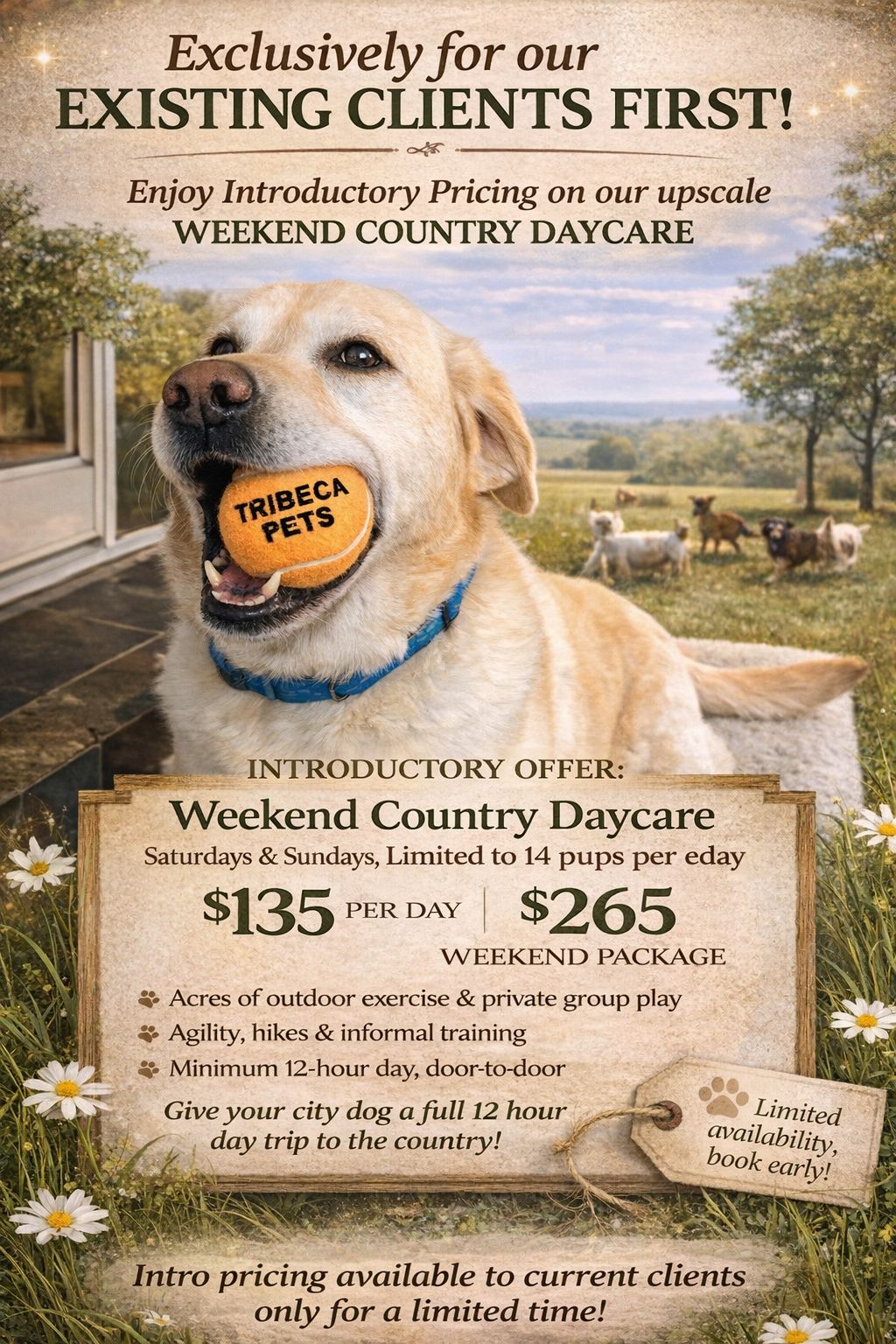 Weekend Country Daycare announcement — a full 12-hour day trip to the country for your city dog
